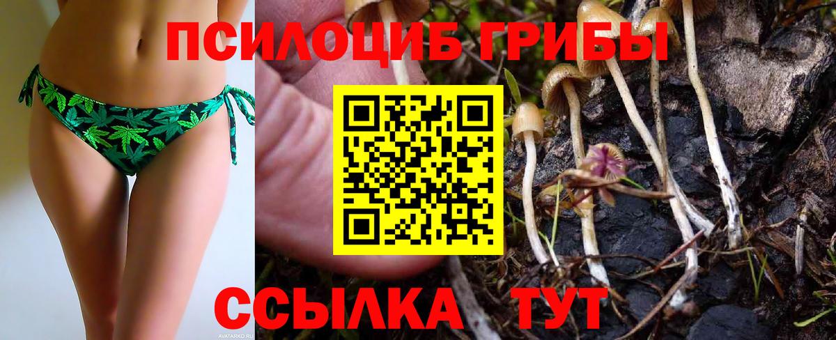 Псилоцибиновые грибы Magic Shrooms  купить закладку  Ярцево  Вход с VPN 